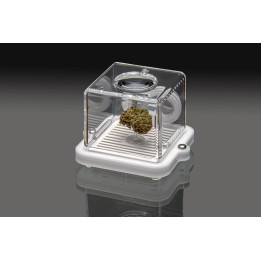 Puffer Pod White Bud Bar - Muestreo Olfativo Innovador