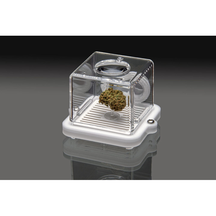 Puffer Pod White Bud Bar - Muestreo Olfativo Innovador