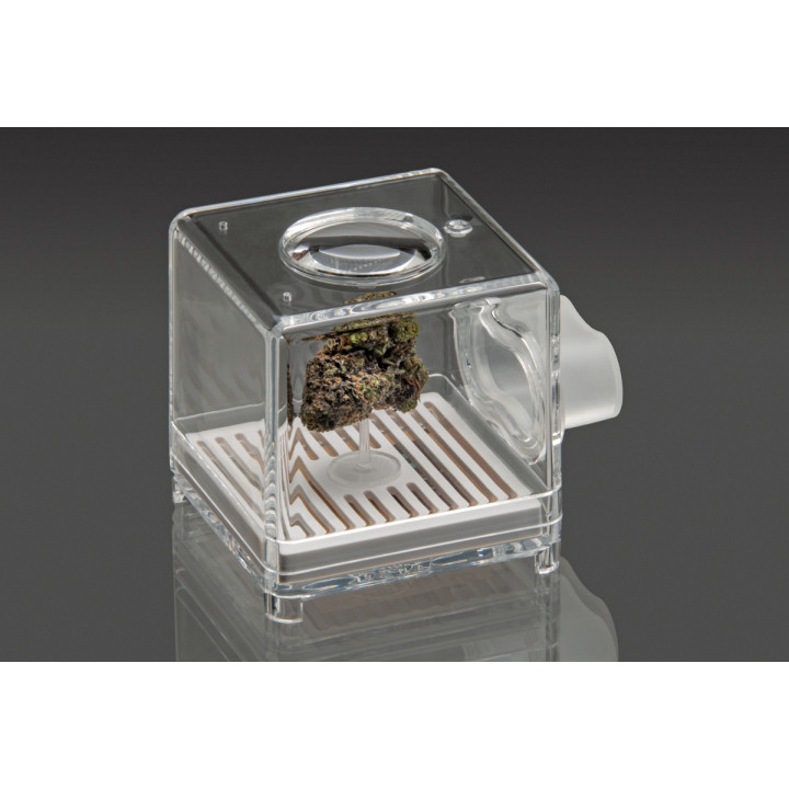 Puffer Pod White Bud Bar - Muestreo Olfativo Innovador