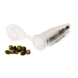 Tubo Eppendorf Pequeño - Bolsa de 1000 Unidades