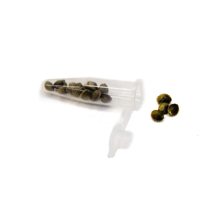 Tubo Eppendorf Pequeño - Bolsa de 1000 Unidades