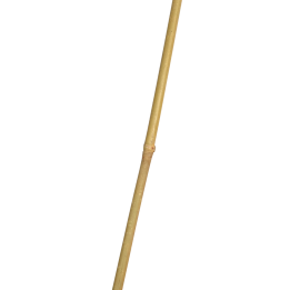Tutor de Bambú Natural 1,50 m - Soporte para Cultivos