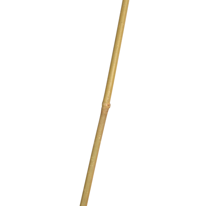 Tutor de Bambú Natural 1,50 m - Soporte para Cultivos