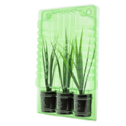 Funda de Transporte para 3 Esquejes - 18 cm de Altura