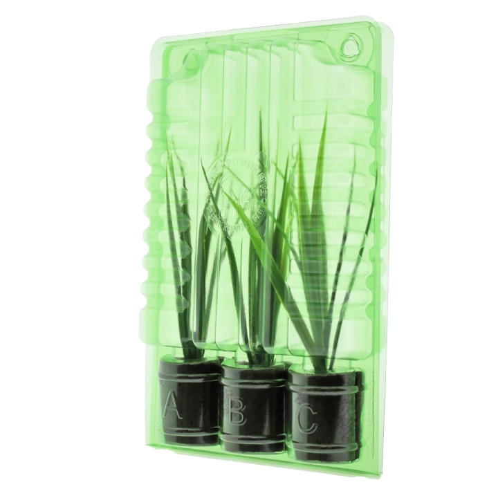 Funda de Transporte para 3 Esquejes - 18 cm de Altura