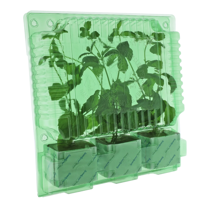 Funda de Transporte para 3 Esquejes - 22 cm | Suministros Hortícolas