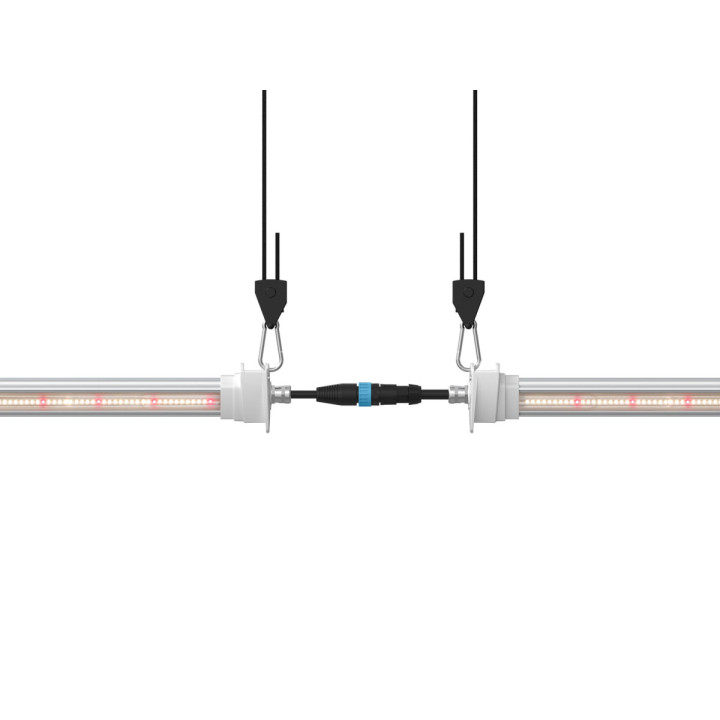 Inter Canopy LED SOLUX - Iluminación Eficiente para Horticultura