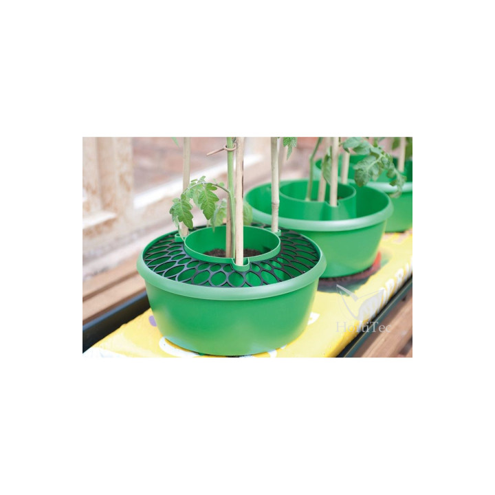 Rejilla Plant Halos 27cm - GARLAND | Suministros Hortícolas