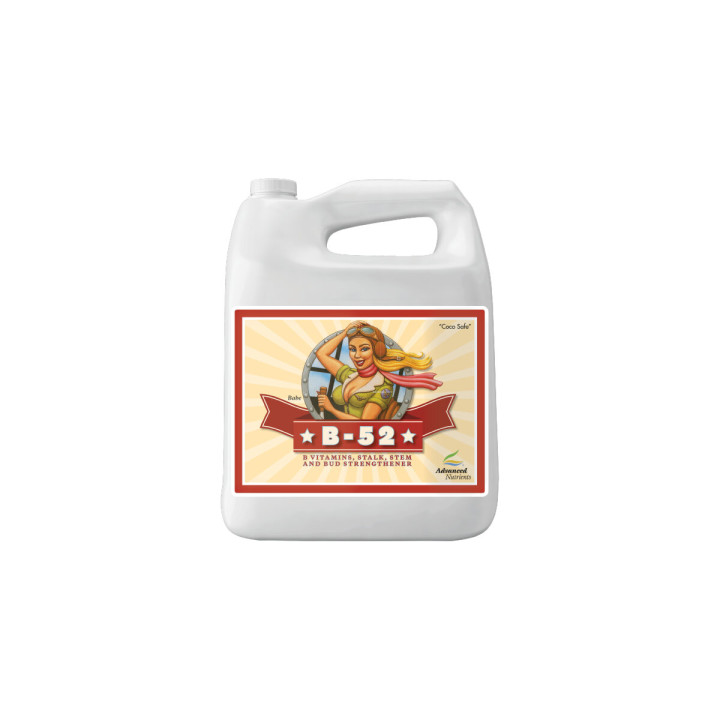 B-52 20 L Suplemento Vitamina B - Advanced Nutrients