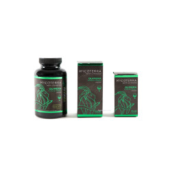 Quimera L 150 ml - Protector Fúngico Mycoterra