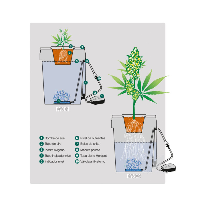 Hortipot - Sistema Hidropónico para Cultivos Eficientes