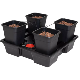 Sistema Wilma L 4 Completo 18L - Cultivo Hidropónico Eficiente