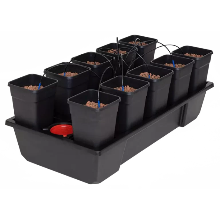 Sistema Wilma Small 10 Completo 6L - Cultivo Hidropónico