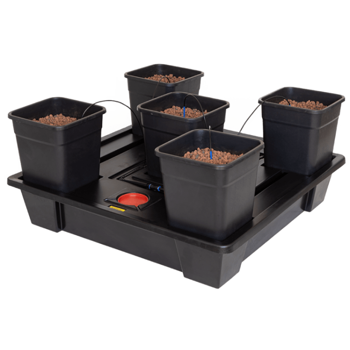 Sistema Wilma XXL 5 Completo 25L - Cultivo Hidropónico Eficaz