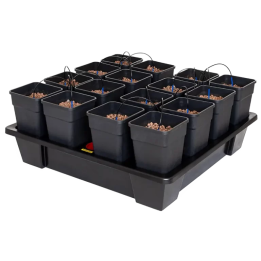 Sistema Wilma XXL 16 Completo 11L - Cultivo Hidropónico