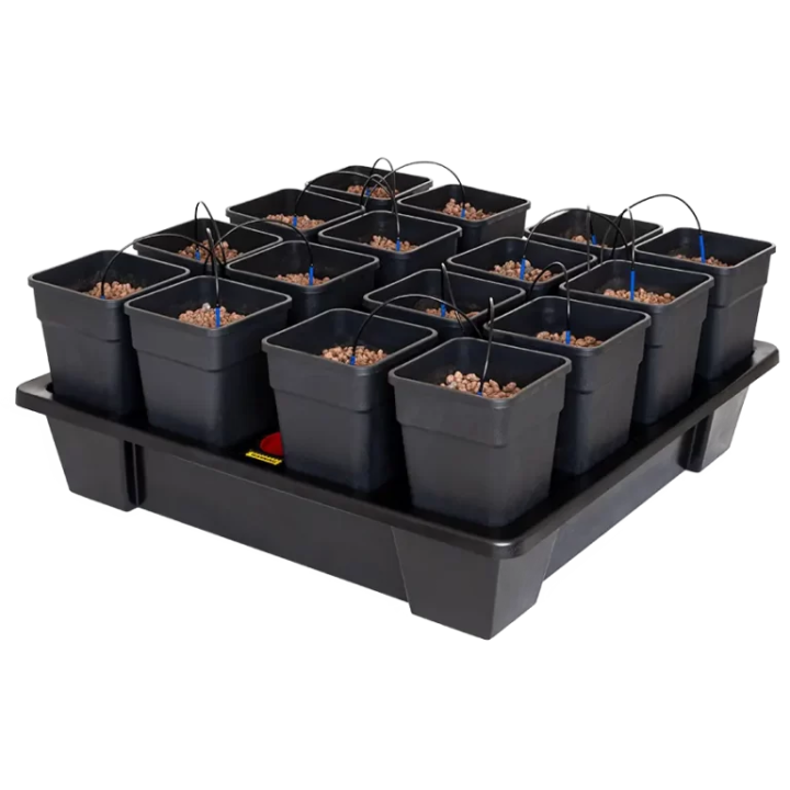 Sistema Wilma XXL 16 Completo 11L - Cultivo Hidropónico