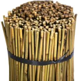 Tutor de Bambú 1,20 m - Soporte Natural para Cultivos
