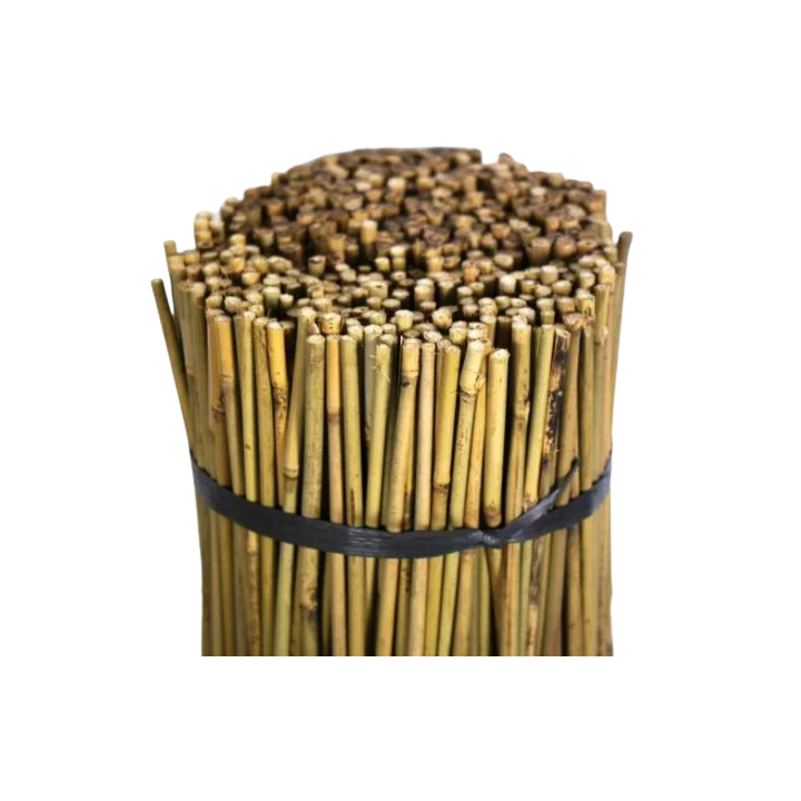 Tutor de Bambú 1,05 m - Soporte Natural para Cultivos