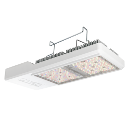Luminaria CT 2000e LED GAVITA - Eficiencia y Rendimiento