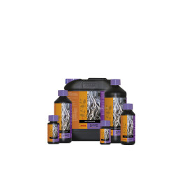 Root Stimulator 10L Atami - Estimulador Radicular Eficaz