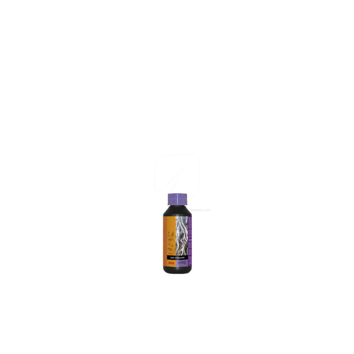 Root Stimulator 10L Atami - Estimulador Radicular Eficaz