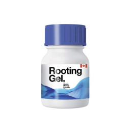 Rooting Gel 500 ml Can Farm - Enraizamiento Efectivo