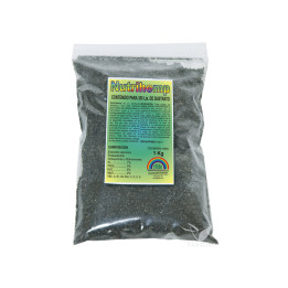 Nutrihemp 1 kg - Enriquecedor de Sustratos Trabe