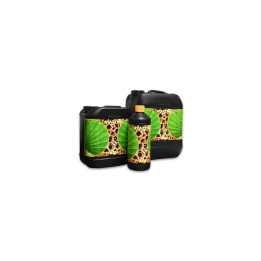 Atazyme 5L - Mejorador de Suelo Atami®
