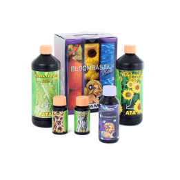 ATA/Terra Bloombastic Box - Fertilizantes Atami®