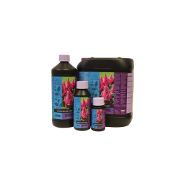 B’Cuzz Blossom Builder 5L - Fertilizante para Floración