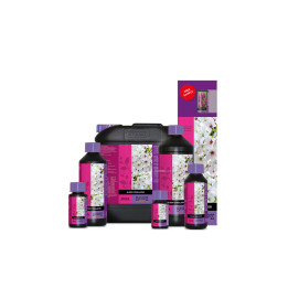 Bloom Stimulator 100 ml - Estimulador de Floración Atami®