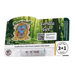Gorilla Girl - Macetas y Bandejas | Sweet Seeds