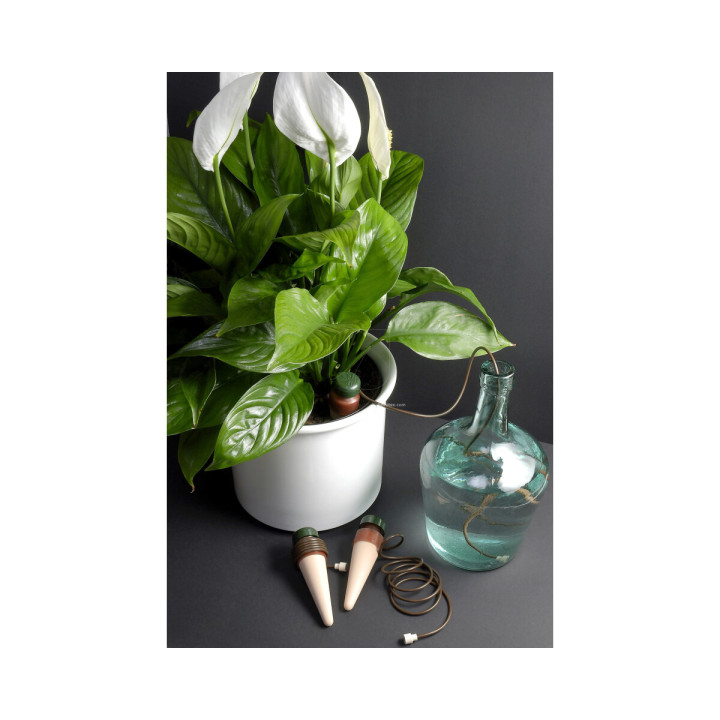 Blumat Classic Blister (3 uds) - Riego Automático para Plantas