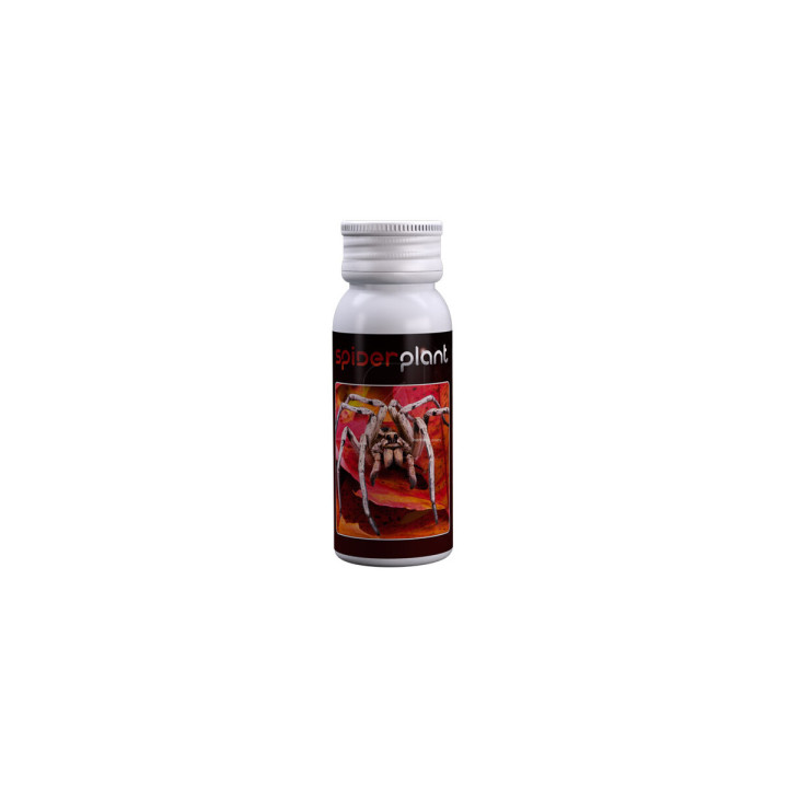 Spider Plant 15 ml - Insecticida Ecológico Agrobacterias