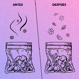 Sobre Terpenos Wedding Cake 8 g - Terpescience
